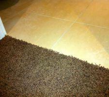 Du dressing &agrave; la salle de bain sans seuil de porte...