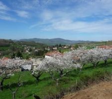 Le printemps est arriv&eacute;...