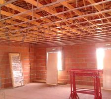 Pose des rails pour le plafond