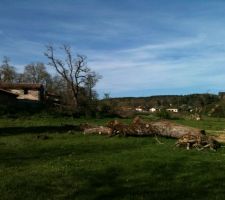 Terrain avant construction