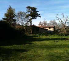 Terrain avant construction