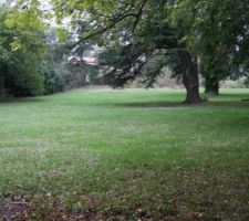 Terrain avant terassement du chemin et coupe des arbres ...