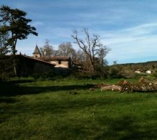 Terrain avant construction