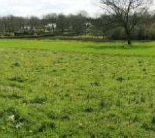 Panoramique de notre terrain (partie constructible), vue sud-est