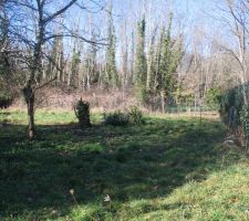 Voici le terrain vu du sud derri&eacute;re la maison au premier rang. Il a &eacute;t&eacute; d&eacute;gag&eacute; un minimum mais reste du boulot! Le chemin d'acc&eacute;s passera o&ugrave; le photographe se trouve.
