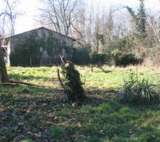 AUtre vue du terrain, du fond cette fois ci, la maison sera implent&eacute; dans la ligne de vue.