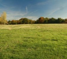 1&egrave;re visite sur le terrain