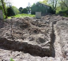 La face Nord.. A noter la quantit&eacute; impressionnante de racines... Et oui l'accacia c'est une vraie 'saloperie' :)