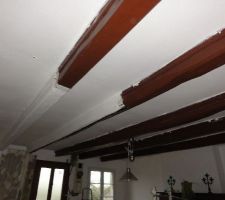 état plafond pièce principale