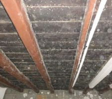 Plafond après démontage isorel