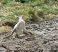 Je savais bien que quelque chose allait pas!! Le défaut est par là......