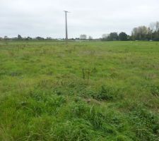 Voici le terrain il fait environ 525 m²
