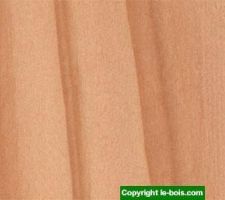 Douglas ext&eacute;rieur qui couvrira tous les murs de la partie &agrave; toit plat