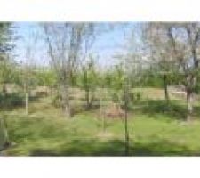 Panorama du terrain pris depuis le fond