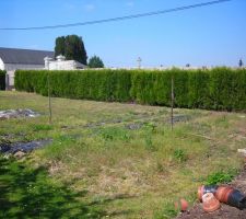La partie "libre" de tout arbre avec le portail en fond d'image