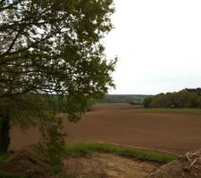 Future vue Est de notre terrasse de l'ET.