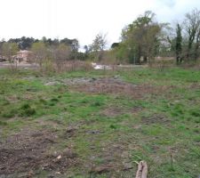 Voil&agrave;, le tilleul a disparu