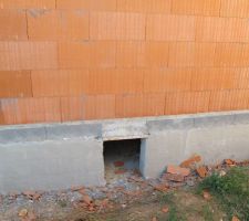 Trappe vide sanitaire