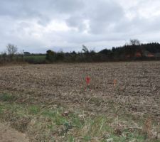 Le bornage du champ agricole !!!