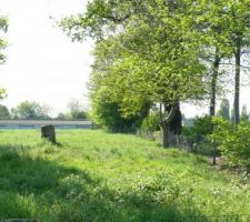 Emplacement du terrain....pas de route, que de l'herbe.....pour le moment :)