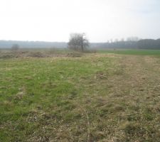 Vu du terrain