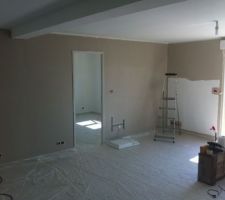 Mur du salon - voile de lin - colors - castorama