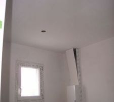 Plafond peint cellier