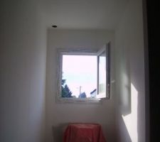 Plafond peint wc