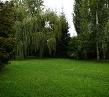 Vue du jardin depuis le local
