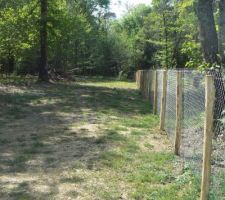 Notre bois et la pose de la clôture : 70 m de long pour éviter aux chevreuils de venir tout dévorer.