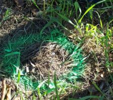 Le premier point pour les angles avec le theolit