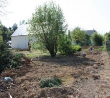 Haie arrach&eacute;e