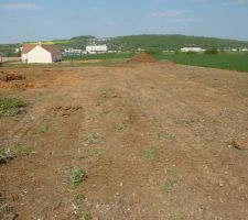 Le terrain