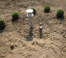 Délimitation de la zone EPARCO par des petits buis boule surface que l'on veut recouvrir de galets blancs