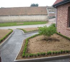 Notre petit parterre vu du hall d'entrée