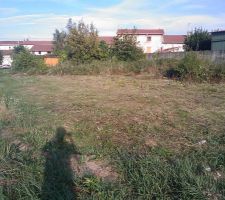 Terrain avant débroussaillage du roncier