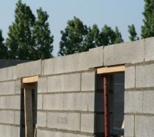 Fen&ecirc;tres chambres et porte d'entr&eacute;e