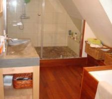 Voici le type de douche que j'ai en tête : sous la mansarde et vitrée jusque sous la mansarde