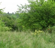 Le terrain, comme je l'ai achet&eacute;