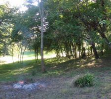 Bas du terrain d&eacute;frich&eacute;