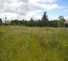 Terrain avant travaux