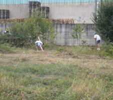 Ou comment Débrouissailler un roncier de 300m²