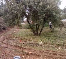 D&eacute;broussaillage