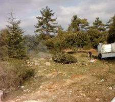 Le terrain avec un magnifique soleil