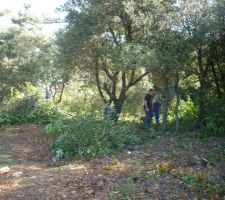 Allez nous coupons nous aussi mdrrr