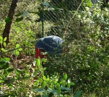 Mon p&eacute;re qui se cache mdrrr