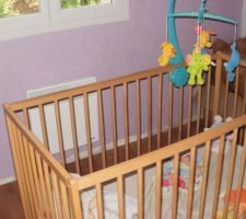 Les 3 autres murs de la chambres de bébé sont parmes