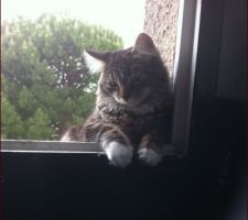 Milou gros balou 7 mois !!lol