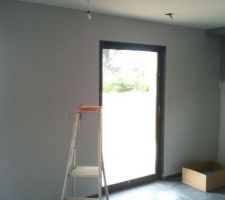 Tollens teinte 1166-2