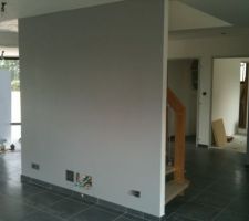 Tollens teinte 1166-4